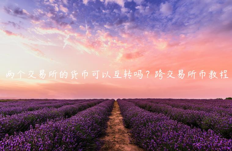两个 交易平台的货币可以互转吗？跨 交易平台币教程-第1张图片-交易所